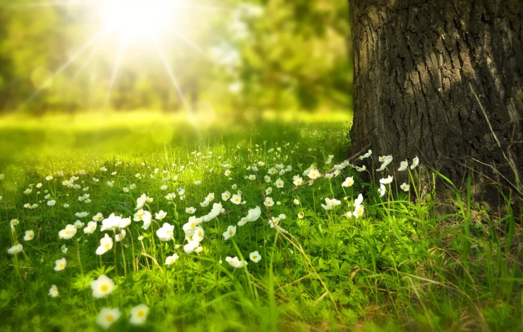 Spring 276014 1920.jpg 1024x651